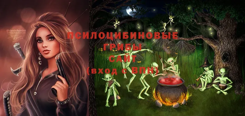 Псилоцибиновые грибы Cubensis  что такое наркотик  Волгоград 